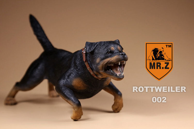 1/6 Rottweiler 002　