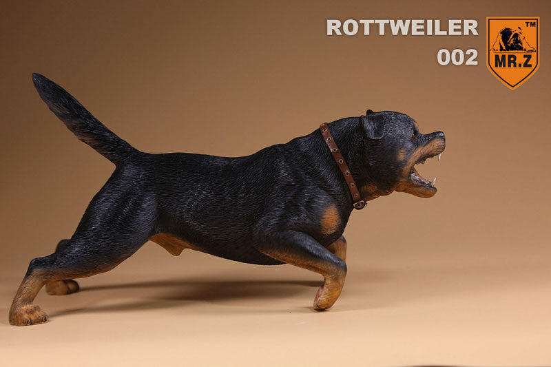 1/6 Rottweiler 002　