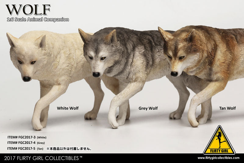 1/6 Animal Companion: White Wolf　