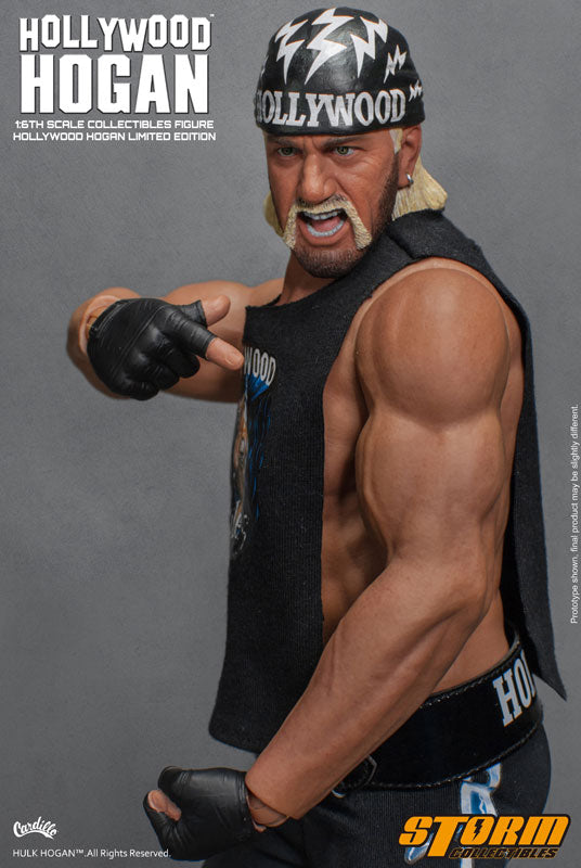 Hulk Hogan 1/6 Collectible Figure Hollywood　