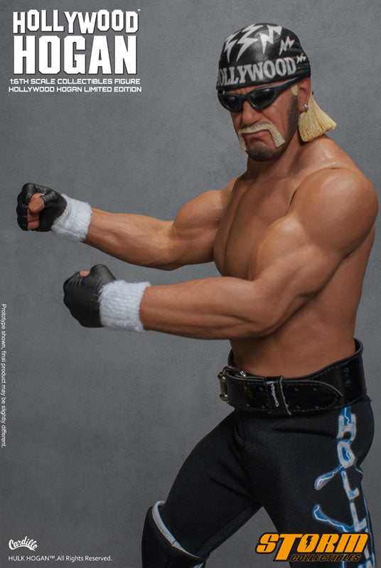 Hulk Hogan 1/6 Collectible Figure Hollywood　