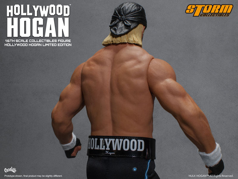 Hulk Hogan 1/6 Collectible Figure Hollywood　