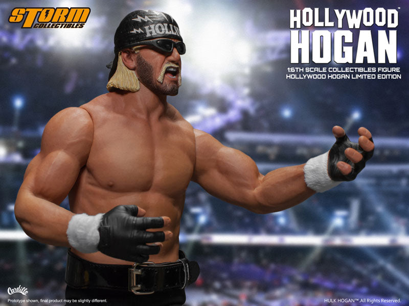 Hulk Hogan 1/6 Collectible Figure Hollywood　