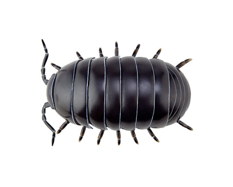 Soft Vinyl Toy Box 012A Armadillidium Vulgare