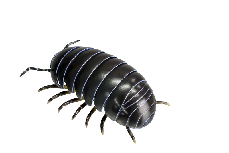 Soft Vinyl Toy Box 012A Armadillidium Vulgare