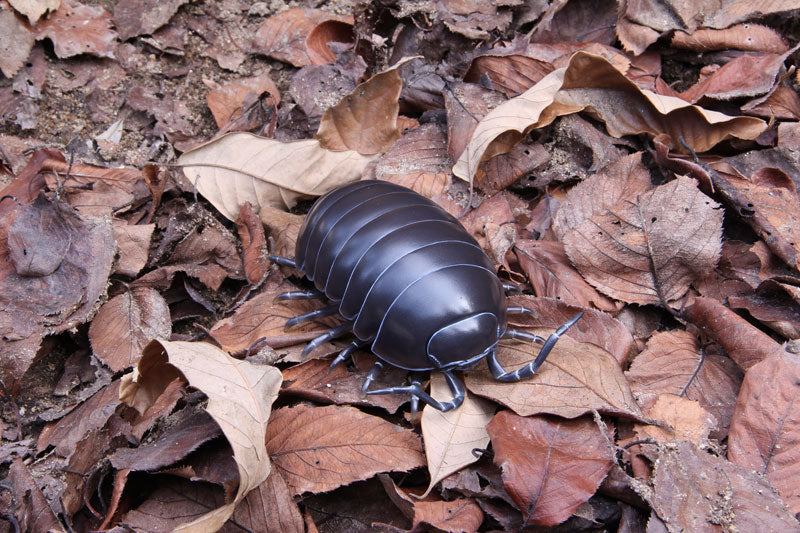 Soft Vinyl Toy Box 012A Armadillidium Vulgare