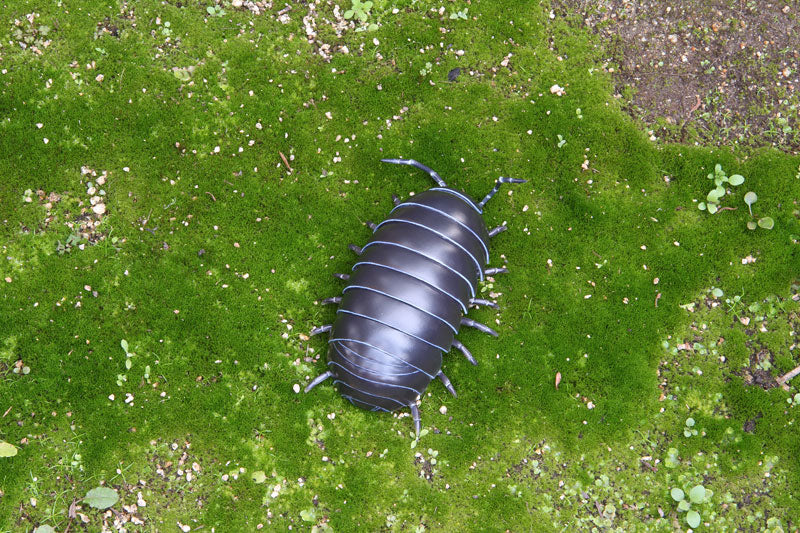 Soft Vinyl Toy Box 012A Armadillidium Vulgare