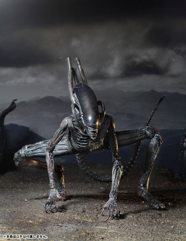 Alien: Covenant - Xenomorph 7 Inch Action Figure