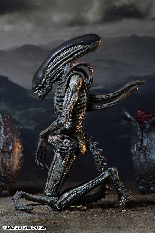 Alien: Covenant - Xenomorph 7 Inch Action Figure - Solaris Japan