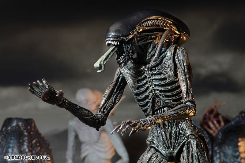 Alien: Covenant - Xenomorph 7 Inch Action Figure - Solaris Japan