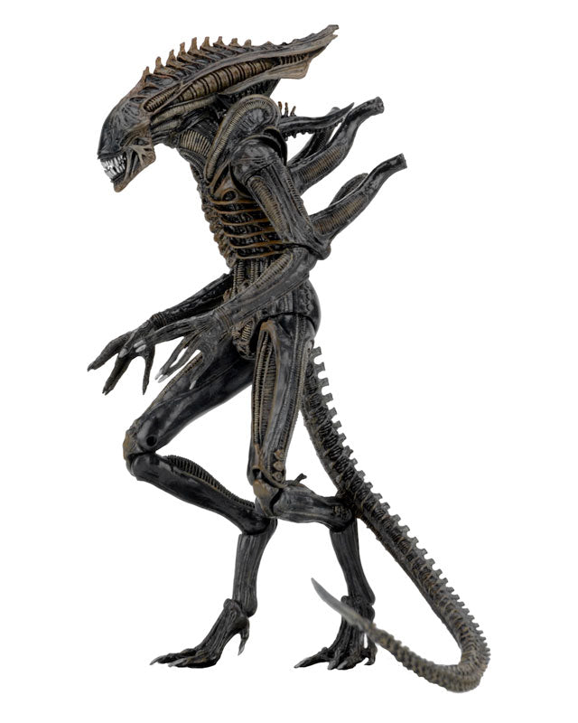 Alien - 7 Inch Action Figure Series 11: 2Type Set