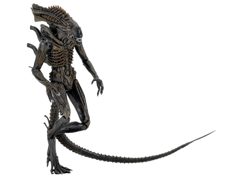 Alien - 7 Inch Action Figure Series 11: 2Type Set