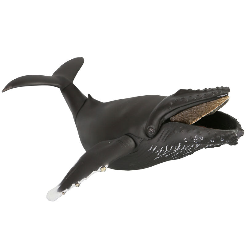 Soft Vinyl Toy Box 013 Humpback Whale