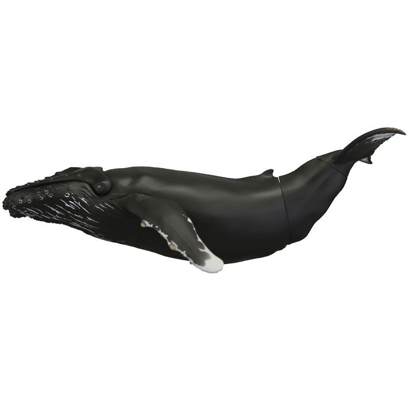 Soft Vinyl Toy Box 013 Humpback Whale