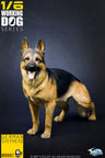 1/6 Working Dog Series German Shepherd　