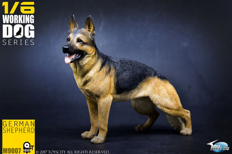 1/6 Working Dog Series German Shepherd　