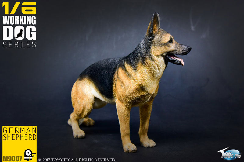 1/6 Working Dog Series German Shepherd　