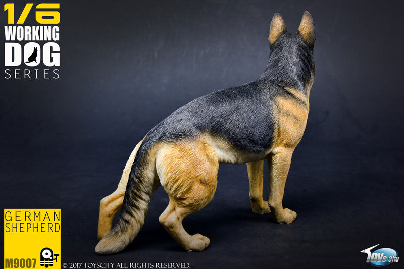 1/6 Working Dog Series German Shepherd　