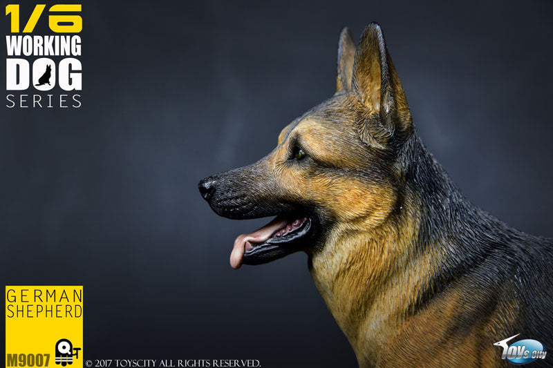 1/6 Working Dog Series German Shepherd　