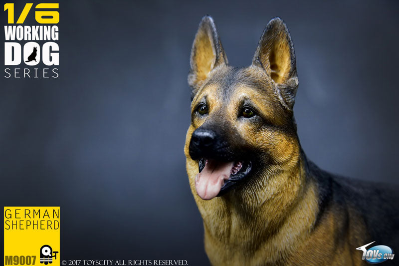 1/6 Working Dog Series German Shepherd　