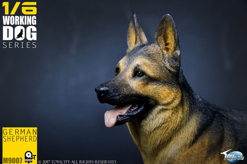 1/6 Working Dog Series German Shepherd　