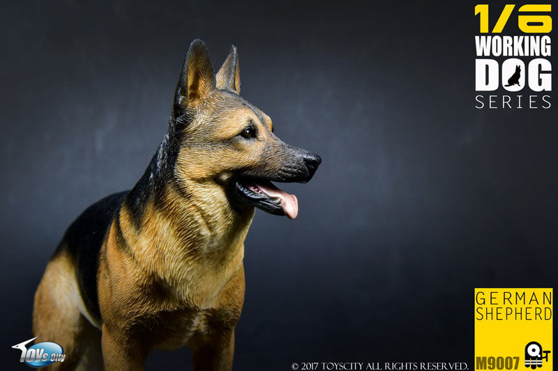 1/6 Working Dog Series German Shepherd　