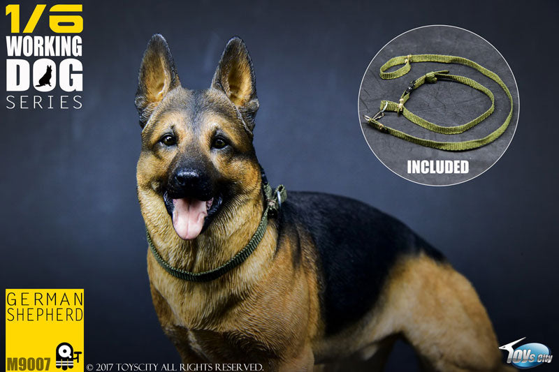 1/6 Working Dog Series German Shepherd　