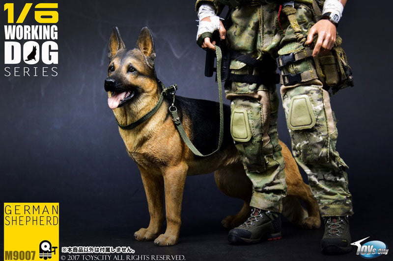 1/6 Working Dog Series German Shepherd　