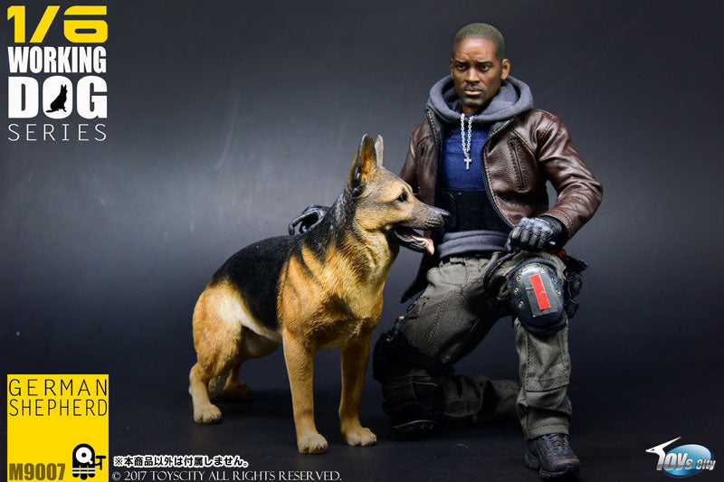 1/6 Working Dog Series German Shepherd　