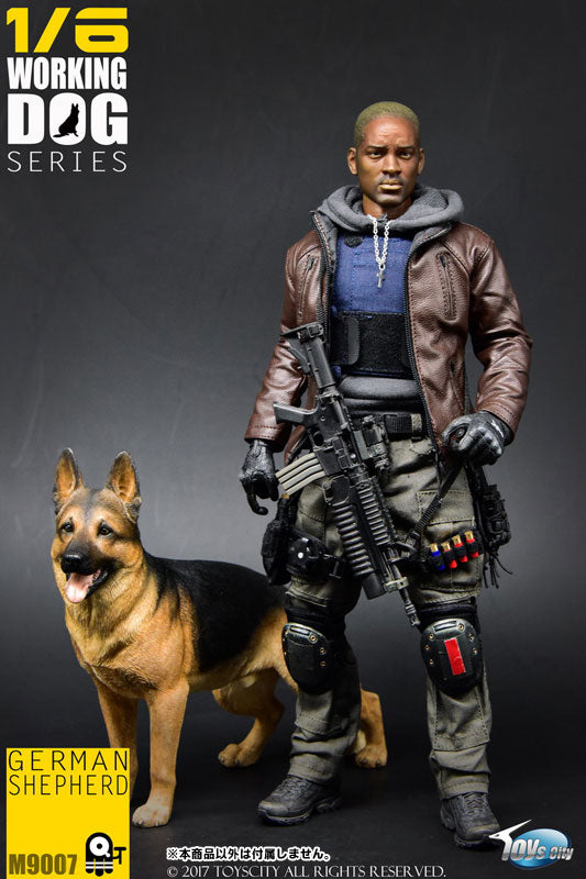 1/6 Working Dog Series German Shepherd　