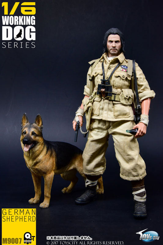 1/6 Working Dog Series German Shepherd　