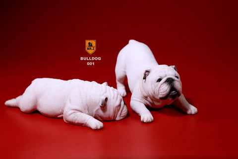 1/6 Bulldog Playful Set White　