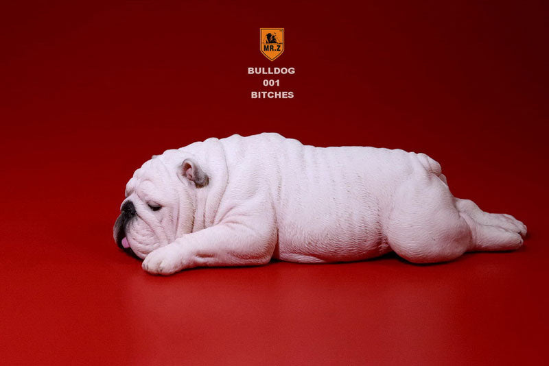 1/6 Bulldog Playful Set White　