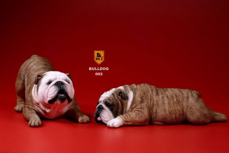 1/6 Bulldog Playful Set Red Tiger Stripe　