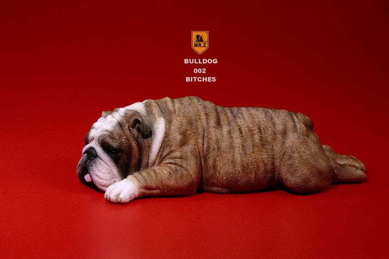 1/6 Bulldog Playful Set Red Tiger Stripe　