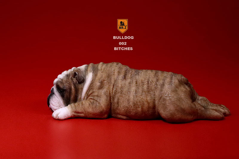 1/6 Bulldog Playful Set Red Tiger Stripe　