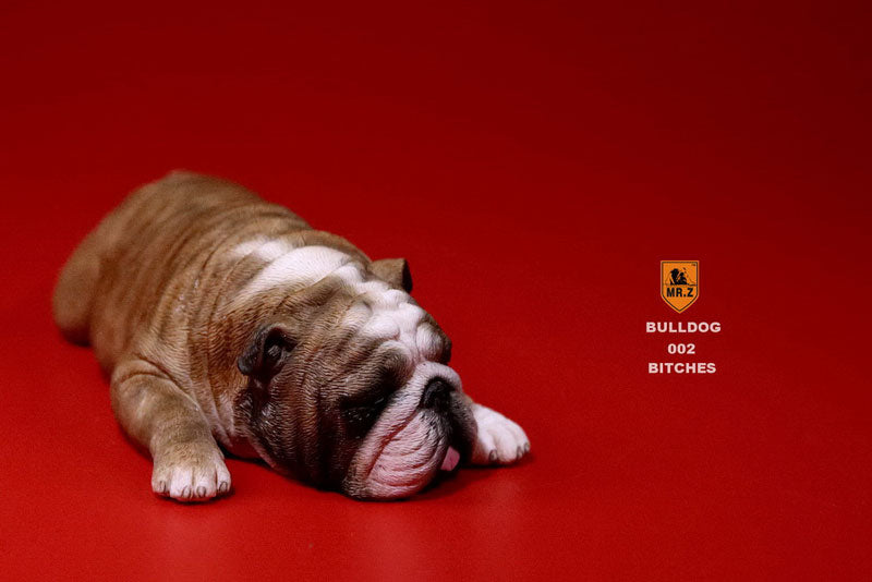 1/6 Bulldog Playful Set Red Tiger Stripe　