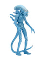Alien - 7 Inch Action Figure Series 11: Alien Warrior (Clear Blue)