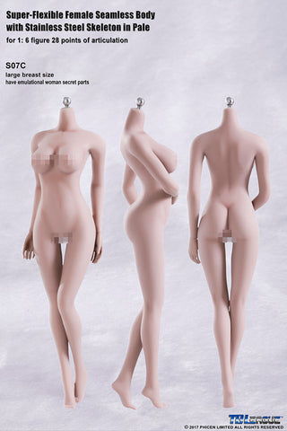 1/6 Super Flexible Female Seamless Body Pale Large Bust Real ver.　