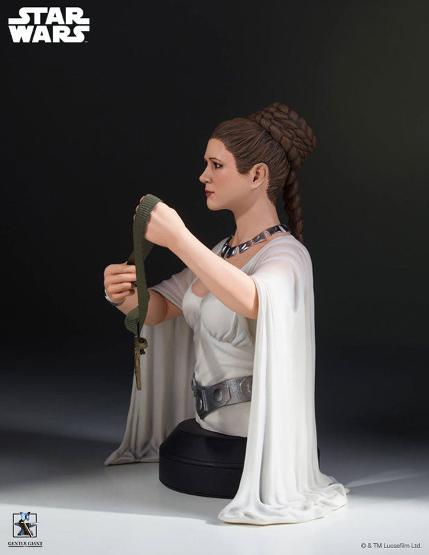 "Star Wars" Mini Bust: Princess Leia (Yavin Ver.)(Provisional Pre-order)