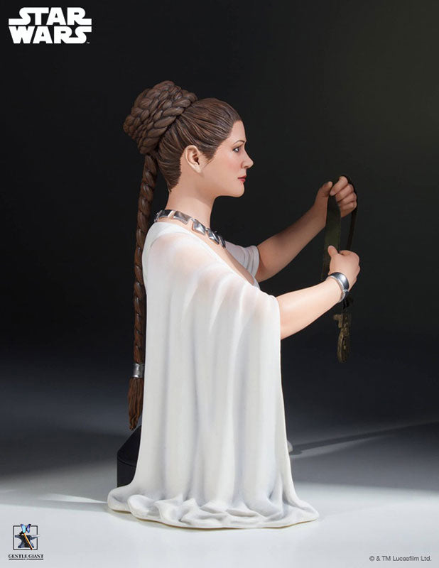 "Star Wars" Mini Bust: Princess Leia (Yavin Ver.)(Provisional Pre-order)