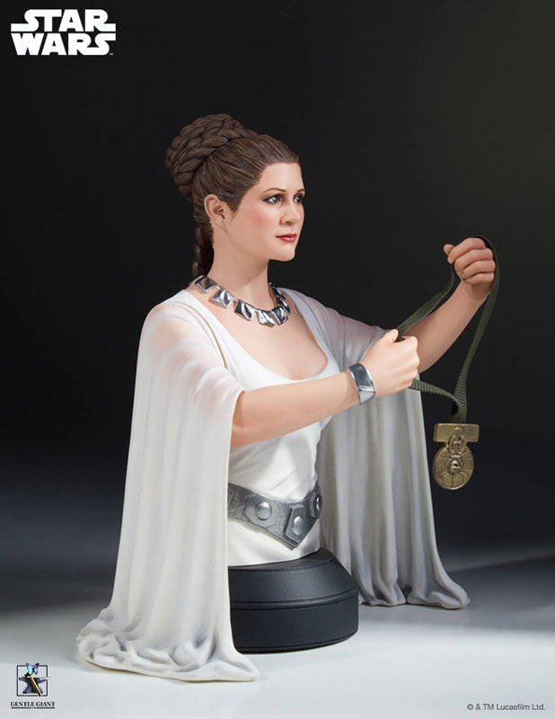 "Star Wars" Mini Bust: Princess Leia (Yavin Ver.)(Provisional Pre-order)