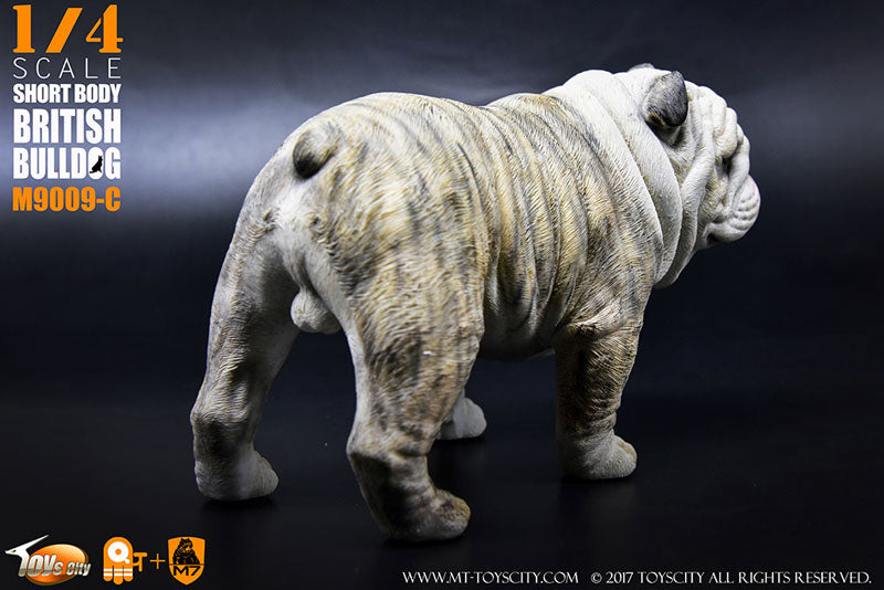 1/4 Short Body British Bulldog C　