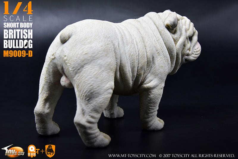 1/4 Short Body British Bulldog D　