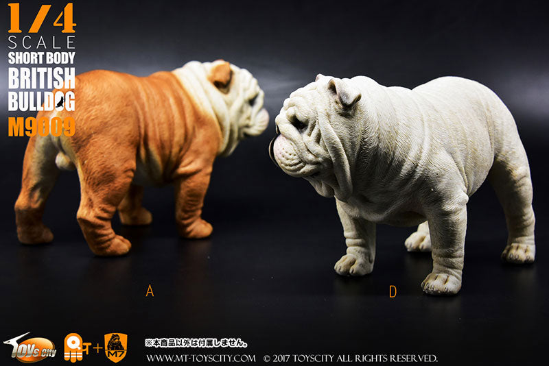 1/4 Short Body British Bulldog D　