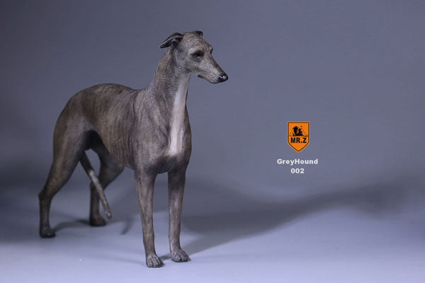 1/6 Greyhound 002　