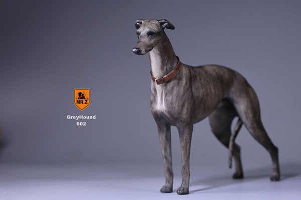 1/6 Greyhound 002　