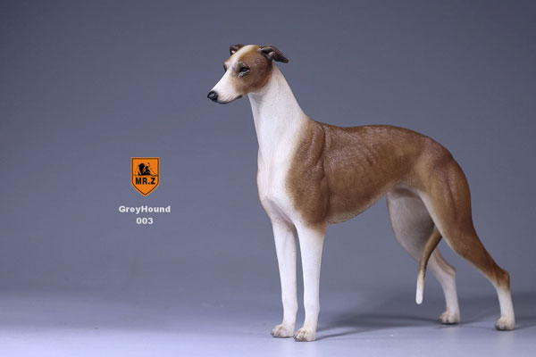 1/6 Greyhound 003　