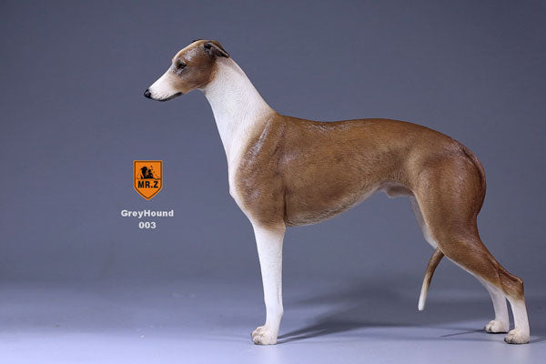 1/6 Greyhound 003　