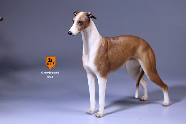 1/6 Greyhound 003　